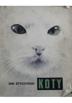 Koty