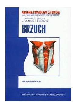 Anatomia prawidłowa człowieka brzuch