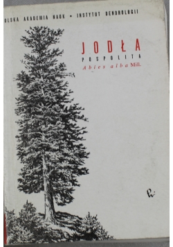 Jodła pospolita Abies alba Mill