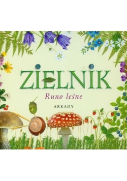 Zielnik Runo leśne