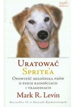 Uratować Spritea