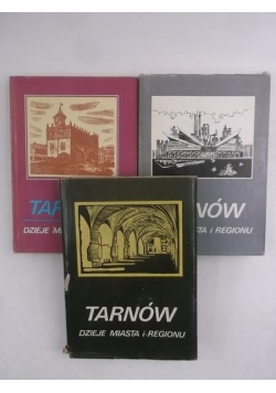 Tarnów. Dzieje miasta i regionu, tom I-III