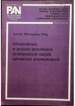 Infrastruktura w procesie przeobrażeń strukturalnych starych aglomeracji przemysłowych