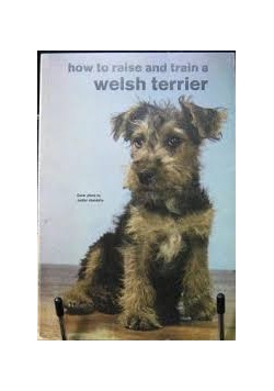 How to raise and train a welsh terrier