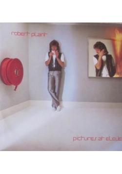 Pictures at eleven, CD