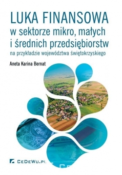 Luka finansowa w sektorze mikro, małych