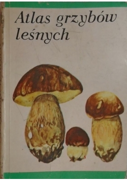 Atlas grzybów leśnych