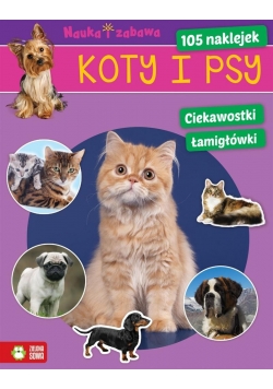 Nauka i zabawa. Koty i psy