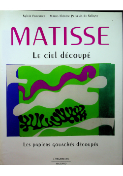 Matisse Le Ciel Decoupe