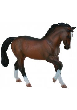 Ogier Warmblood Stallion - Bay