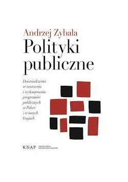 Polityka publiczna