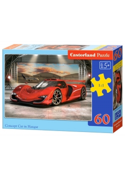 Puzzle Concept Car in Hangar 60