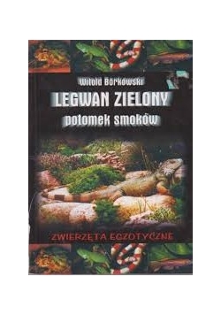 Legwan zielony