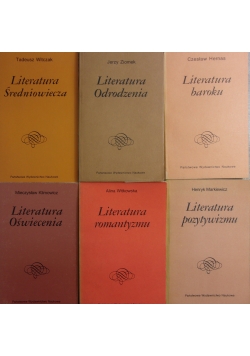 Literatura baroku/ Literatura średniowiecza/ Literatura odrodzenia/ Literatura pozytywizmu/ Literatura oświecenia Literatura romantyzmu, zestaw 6 książek