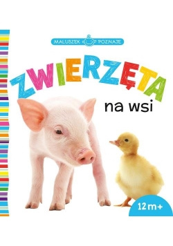 Maluszek poznaje Zwierzęta na wsi