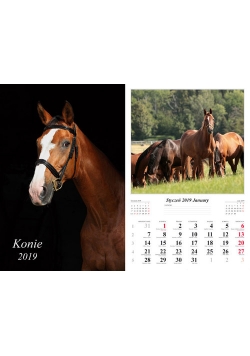 Kalendarz 2019 wieloplanszowy Konie
