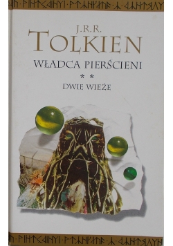 Władca pierścieni Drużyna Pierścienia