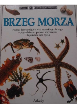 Brzeg Morza