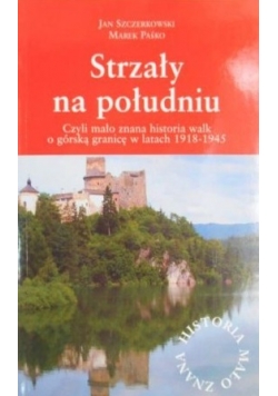 Strzały na południu