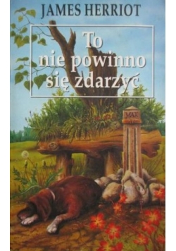 To nie powinno się zdarzyć