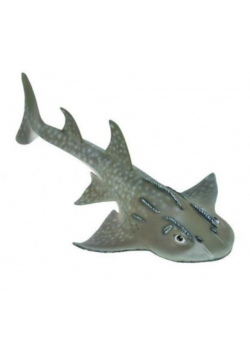 Rekin Bowmouth Guitarfish