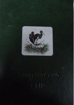 Nadleśnictwo