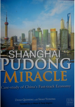 Shanghai Pudong Miracle