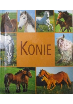 Konie