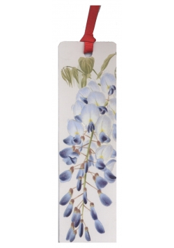 Zakładka do książki Wisteria