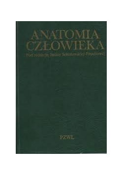 Anatomia człowieka