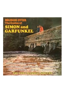 Bridge over the genius of Simon and Garfunkel, płyta winylowa