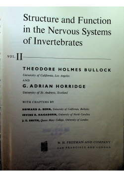 Structure and function in the Nervous System  of Invertebrates