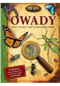 Pod lupą  Owady