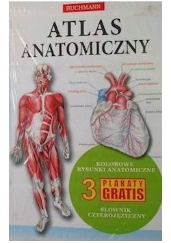 Atlas Anatomiczny