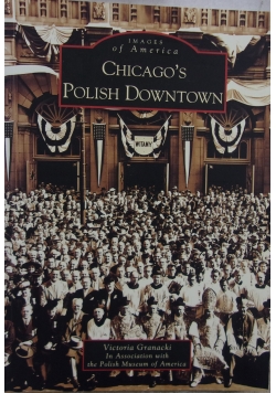 Chicago's Polish Downtown