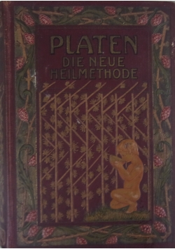 Die Neue Heilmethode, 1905 r.