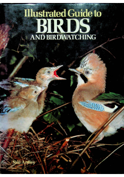 Birds and birdwatching