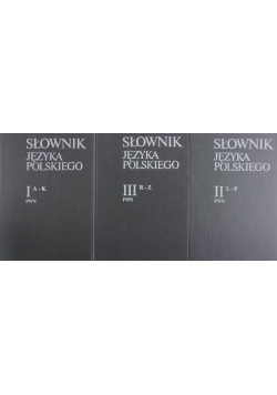 Słownik Języka Polskiego, 3 tomy