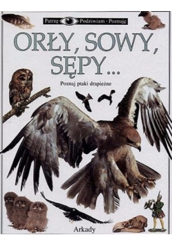 Orły sowy sępy