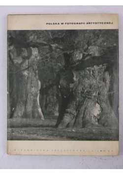 Polska w fotografii artystycznej