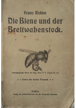 Die Biene und der Breitwabentock ,1913 r.