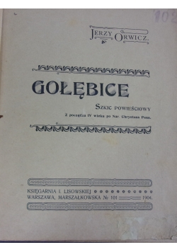 Gołębice, 1904 r.