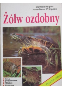 Żółw ozdobny