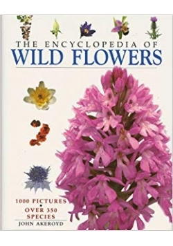 The Encyclopedia of Wild Flowers