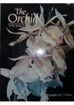The Orchid