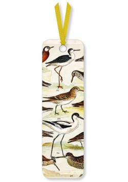 Zakładka do książki English Wading Birds