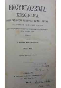 Encyklopedia kościelna,1893r., t. XIX