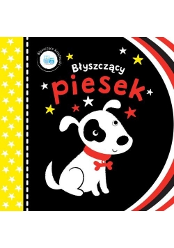 Błyszczące książeczki Błyszczący piesek