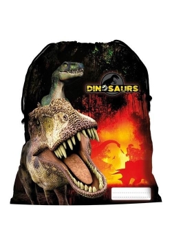 Worek na obuwie Dinozaur 12 DERFORM