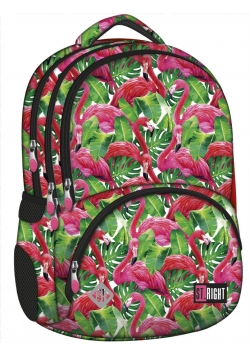Plecak 4-komorowy Spine-Friendly Flamingo